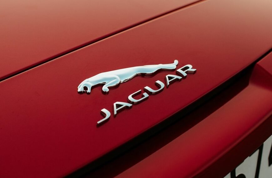 acutromon updates and features